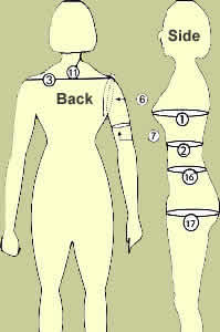 Body image-1